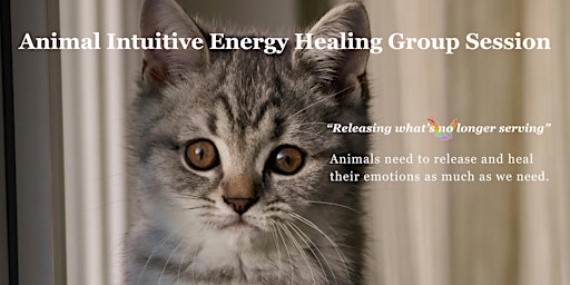 Primaire afbeelding van Animal Intuitive Energy Healing Group Session