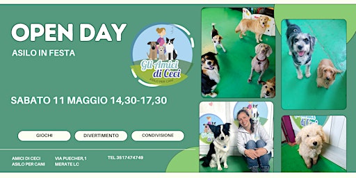Imagem principal do evento Open day Asilo dei Cani