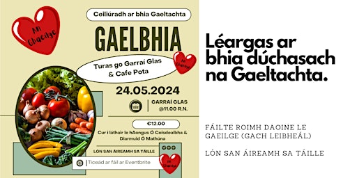 Imagem principal do evento GaelBhia - Turas go Garraí Glas & Pota Café