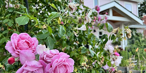 Image principale de Rose Cottage Cares