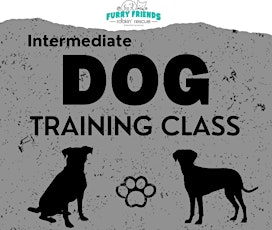 Intermediate Dog Training
