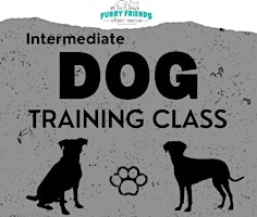 Imagem principal de Intermediate Dog Training