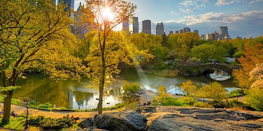 Central Park Social Walk (50s & Over)  primärbild