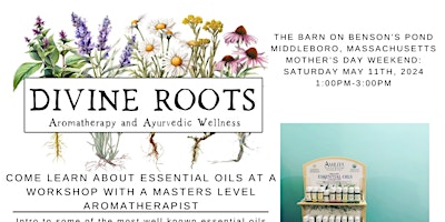 Image principale de Make and Take Aromatherapy- Mother’s Day Event