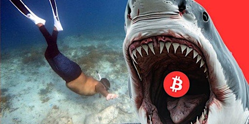 Hauptbild für Web3 Swim with sharks