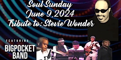 Imagen principal de SOUL SUNDAY BigPocket Band Tribute To Stevie Wonder
