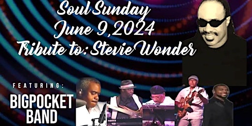 SOUL SUNDAY BigPocket Band Tribute To Stevie Wonder primary image