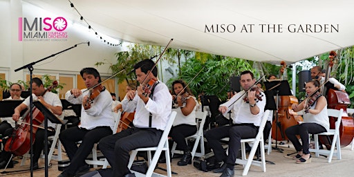 Imagem principal do evento MISO at the Garden