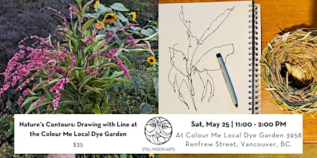 Nature's Contours: Drawing with Line at the Dye Garden