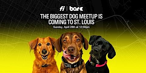 The Biggest Dog Meetup in St. Louis - Hosted by Fi primary image