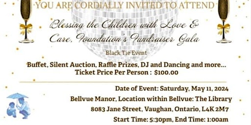 Immagine principale di Fundraiser Gala, Blessing the Children with Love and Care, Foundation 