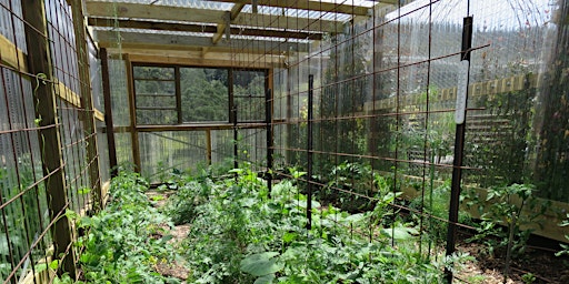Hauptbild für Hidden Valley Workshops: Polytunnel and Greenhouse Growing