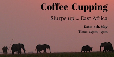 Slurps up - East Africa ①