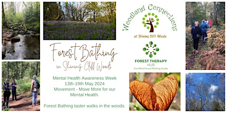 Forest Bathing Taster for Mental Health Awareness Week