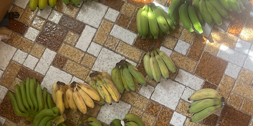 Hauptbild für Bananas of Borneo