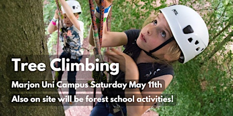 Tree Climbing - For Kids and Big Kids