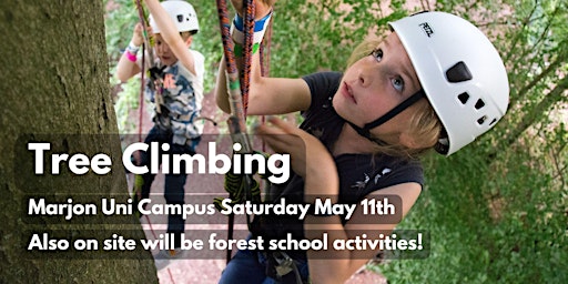 Primaire afbeelding van Tree Climbing - For Kids and Big Kids