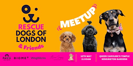 Rescue Dogs of London & Friends Meetup
