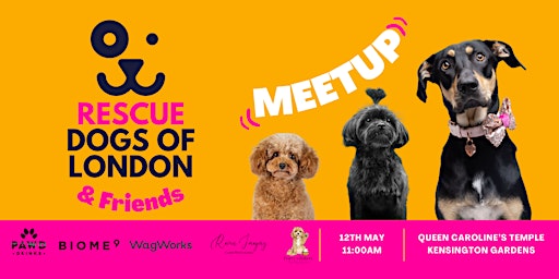 Hauptbild für Rescue Dogs of London & Friends Meetup