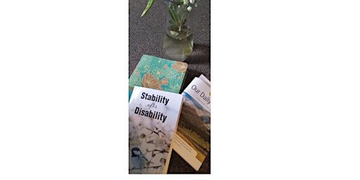 Stability After Disability Book launch primary image