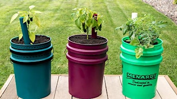 Hauptbild für Self-watering Container Garden Workshop