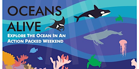 Oceans Alive Aquarium primary image