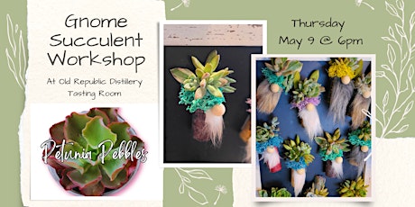 Gnome Succulent Workshop