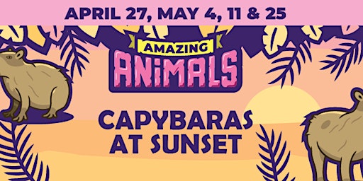 Imagem principal do evento Capybara's at Sunset