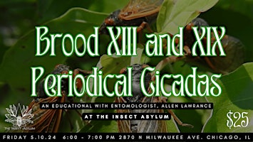 Imagem principal do evento Brood 13 & 19 Periodical Cicadas Educational w/ Enotmologist Allen Lawrence