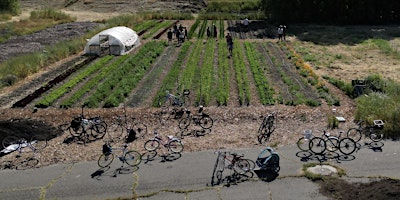 Imagem principal de Farm Bike Tour