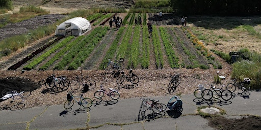 Imagem principal de Farm Bike Tour