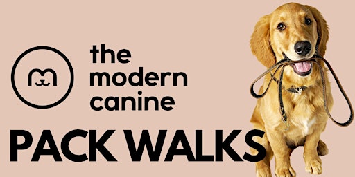 Imagem principal do evento Dog Pack Walk with The Modern Canine