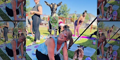 Mother's Day Goat Yoga! primary image