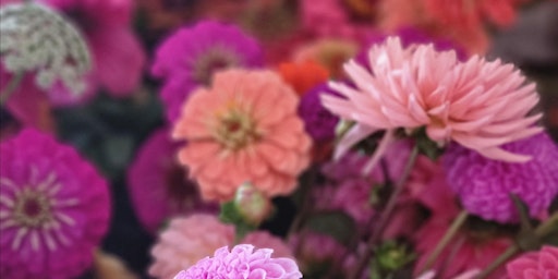 Wednesday 26th June - Pick Your Own Flowers  primärbild