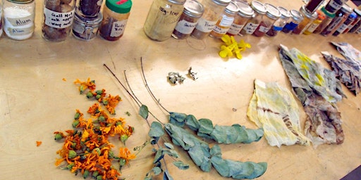 Bundle Dyeing with Flora, Fauna, Food and Rust primary image