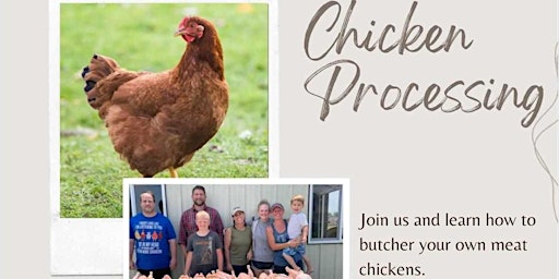 Chicken Processing Workshop primary image