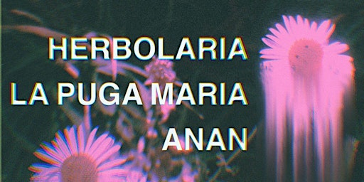 Image principale de Herbolaria+La Puga María+ANAN