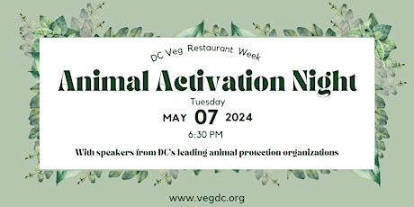 Animal Activation Night