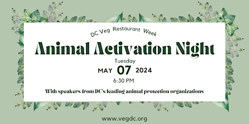 Imagem principal do evento Animal Activation Night