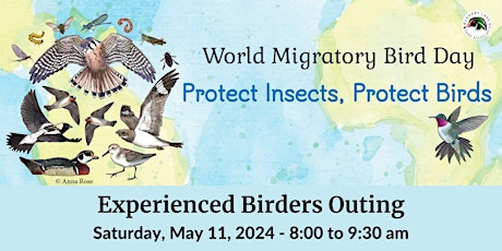World Migratory Bird Day Guided Outing - Spring 2024 - Experienced Birders