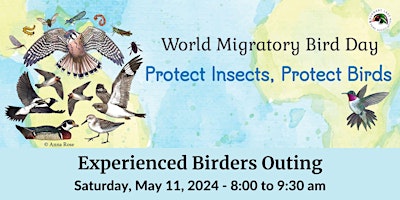 Immagine principale di World Migratory Bird Day Guided Outing - Spring 2024 - Experienced Birders 