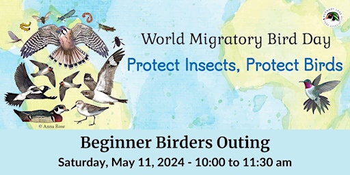 Imagem principal do evento World Migratory Bird Day Guided Outing - Spring 2024 - Beginner Birders