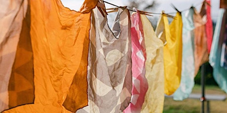 Introduction to Natural Dyes: 2-Day Class with Carly Lake and Berbo Studio