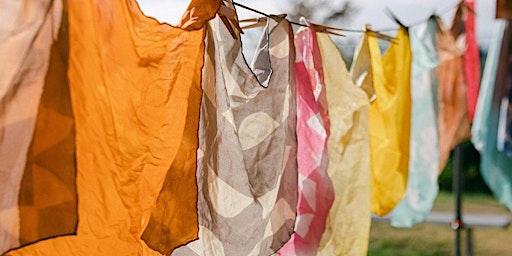 Primaire afbeelding van Introduction to Natural Dyes: 2-Day Class with Carly Lake and Berbo Studio