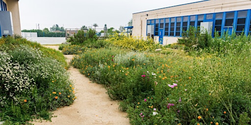 Primaire afbeelding van Native Habitat Garden Design in Public (School) Spaces w/ Jesse Chang