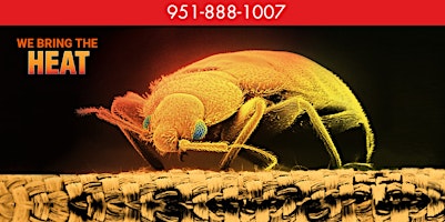 Primaire afbeelding van Bed Bug Control - Expert Bed Bug Removal Services Hemet