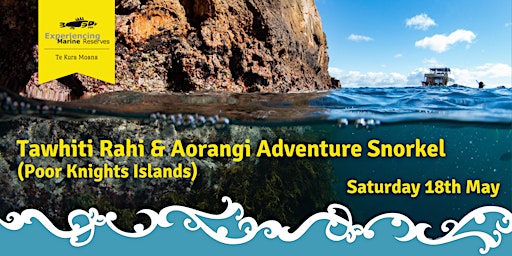 Imagen principal de Tawhiti Rahi & Aorangi (Poor Knights Islands) Adventure Snorkel