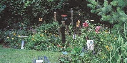 Hauptbild für Create a Bird Friendly Oasis in Your Backyard
