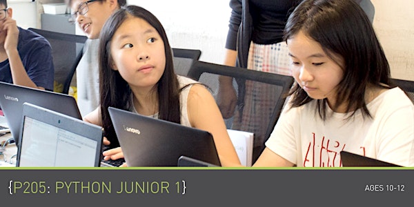 [PAST] Coding for Kids - P205+P206: Python Junior 1+2 (Ages 10-12) @ Grassr...