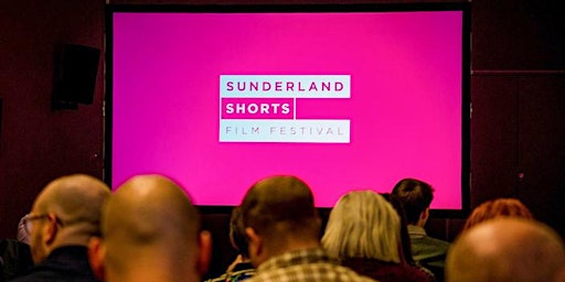 Breaking Into Film Roundtable at Sunderland Shorts Film Festival primary image